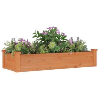 vidaXL Hochbeet mit Einsatz Braun 120x45x25 cm Massivholz Tanne