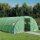 vidaXL Gewächshaus mit Stahlrahmen Grün 24 m² 6x4x2 m