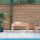 vidaXL Gartenbank 80x38x45 cm Massivholz Douglasie