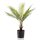 Emerald K&uuml;nstliche Palme Chamaedorea 50 cm Topf