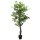 vidaXL Ficusbaum Künstlich 378 Blätter 80 cm Grün