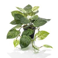 Emerald Künstliche Efeutute Scindapsus 55 cm im Topf