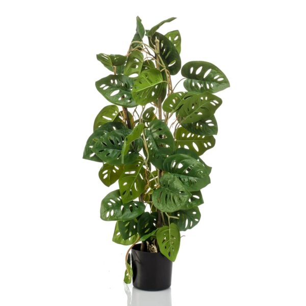 Emerald K&uuml;nstliche Monstera Monkey 75 cm im Topf