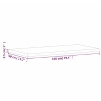 vidaXL Waschtischplatte 100x50x2,5 cm Massivholz Buche