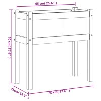 vidaXL Pflanzk&uuml;bel mit F&uuml;&szlig;en 70x31x70 cm Massivholz Kiefer