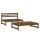 vidaXL 2-tlg. Garten-Lounge-Set Honigbraun Massivholz Kiefer