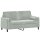 vidaXL 2-Sitzer-Sofa mit Zierkissen Hellgrau 140 cm Samt