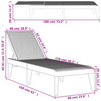 vidaXL Sonnenliege Anthrazit 186x60x29 cm PP