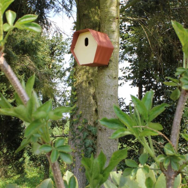 Capi Vogelh&auml;uschen Hive 2 19x23x20 cm Ovales Loch Braun