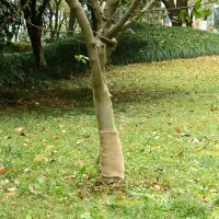 vidaXL Jutegewebe 0,25x5 m 100% Jute 200 g/m&sup2;