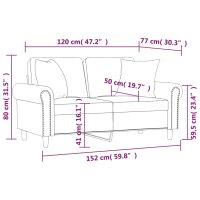 vidaXL 2-Sitzer-Sofa mit Zierkissen Schwarz 120 cm Samt