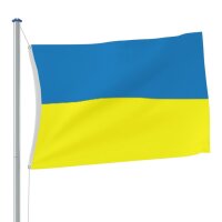 vidaXL Flagge der Ukraine mit Messing&ouml;sen 90x150 cm