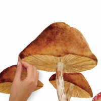 RoomMates Mushroom Wandaufkleber Junior 83,51 x 127 cm Braun