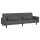 vidaXL Schlafsofa 2-Sitzer mit 2 Kissen Dunkelgrau Stoff