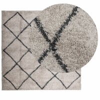 vidaXL Teppich Shaggy Hochflor Modern Beige und Anthrazit 200x200 cm