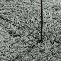 vidaXL Teppich Shaggy Hochflor Modern Grün 120x120 cm