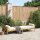 vidaXL Gartenbank mit Kissen Beige Poly Rattan Akazie