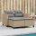 vidaXL Gartensofa 2-Sitzer mit Hockern Beige Poly Rattan