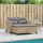 vidaXL Gartensofa 2-Sitzer mit Hockern Beige Poly Rattan