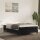 vidaXL Boxspringbett mit Matratze Schwarz 120x190 cm Samt