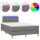 vidaXL Boxspringbett mit Matratze &amp; LED Dunkelgrau 120x190 cm Stoff