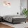 vidaXL Boxspringbett mit Matratze Grau 120x190 cm Kunstleder