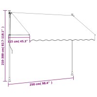 vidaXL Markise Einziehbar Anthrazit 250x150 cm Stoff und Stahl