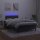 vidaXL Boxspringbett mit Matratze &amp; LED Schwarz 120x190 cm Samt