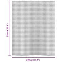 vidaXL Campingteppich Hellgrau 2,5x2 m