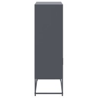 vidaXL Highboard Anthrazit 68,5x38,5x123,5 cm Stahl