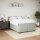 vidaXL Boxspringbett mit Matratze Hellgrau 140x200 cm Samt