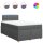 vidaXL Boxspringbett mit Matratze Dunkelgrau 120x200 cm Stoff