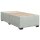 vidaXL Boxspringbett mit Matratze Hellgrau 100x200 cm Samt