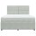 vidaXL Boxspringbett mit Matratze Hellgrau 180x200 cm Samt