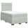 vidaXL Boxspringbett mit Matratze Hellgrau 120x190 cm Samt