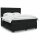 vidaXL Boxspringbett mit Matratze Schwarz 200x200 cm Samt