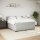 vidaXL Boxspringbett mit Matratze Hellgrau 180x200 cm Samt