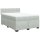 vidaXL Boxspringbett mit Matratze Hellgrau 160x200 cm Samt