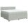 vidaXL Boxspringbett mit Matratze Hellgrau 180x200 cm Samt