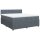 vidaXL Boxspringbett mit Matratze Dunkelgrau 200x200 cm Samt