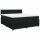 vidaXL Boxspringbett mit Matratze Schwarz 200x200 cm Samt