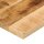 vidaXL Tischplatte 120x30x3,8 cm Rechteckig Raues Massivholz Mango