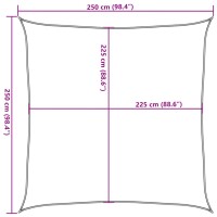 vidaXL Sonnensegel 160 g/m&sup2; Quadratisch Hellgrau 2,5x2,5 m HDPE