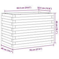 vidaXL Pflanzk&uuml;bel 70x40x46 cm Massivholz Douglasie