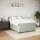 vidaXL Boxspringbett mit Matratze Hellgrau 160x200 cm Samt