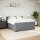 vidaXL Boxspringbett mit Matratze Dunkelgrau 200x200 cm Samt