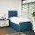 vidaXL Boxspringbett mit Matratze Blau 100x200 cm Samt