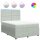 vidaXL Boxspringbett mit Matratze Hellgrau 160x200 cm Samt