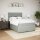 vidaXL Boxspringbett mit Matratze Hellgrau 160x200 cm Samt