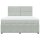 vidaXL Boxspringbett mit Matratze Hellgrau 180x200 cm Samt